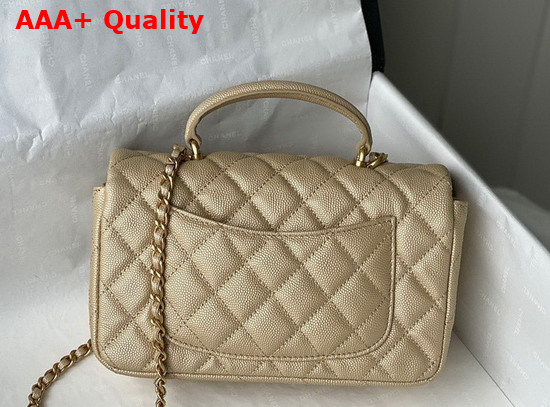 Chanel Mini Flap Bag with Top Handle Grained Calfskin and Gold Tone Metal Gold AS2431 Replica