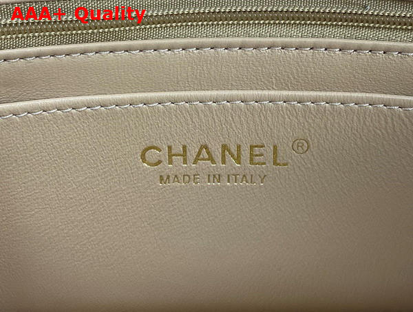 Chanel Mini Flap Bag with Top Handle Lambskin Gold Tone Metal Beige Ref AS2431 Replica