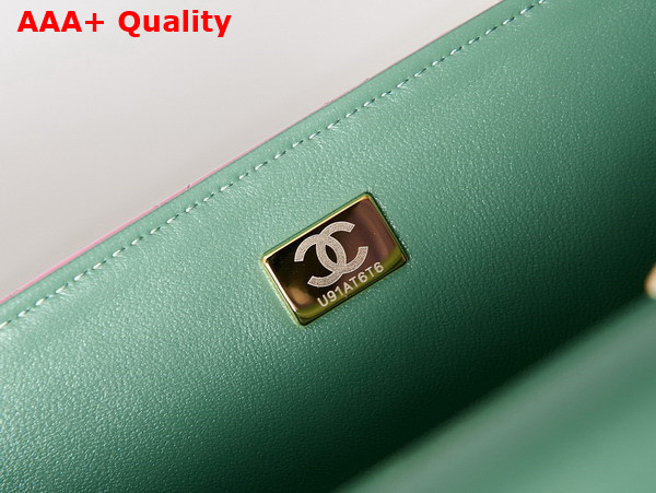 Chanel Mini Flap Bag with Top Handle Lambskin Gold Tone Metal Lilac and Light Green AS2431 Replica