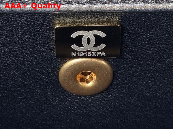 Chanel Mini Flap Bag with Top Handle Silver Metallic Lambskin and Gold Tone Metal AS3886 Replica