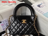 Chanel Mini Shopping Bag in Black Shiny Aged Calfskin Gold Tone Metal AS4416 Replica