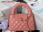 Chanel Mini Shopping Bag in Coral Pink Shiny Aged Calfskin Gold Tone Metal AS4416 Replica