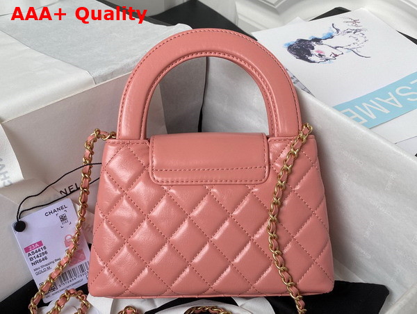 Chanel Mini Shopping Bag in Coral Pink Shiny Aged Calfskin Gold Tone Metal AS4416 Replica