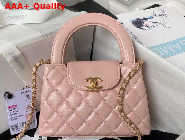 Chanel Mini Shopping Bag in Pink Shiny Aged Calfskin Gold Tone Metal AS4416 Replica