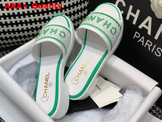 Chanel Mules Black Lambskin and Embroideries White and Green G36557 Replica