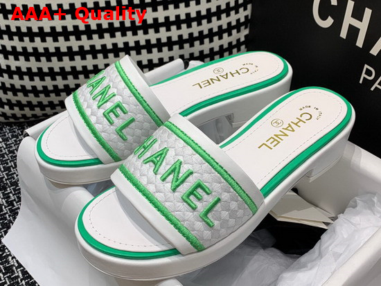 Chanel Mules Black Lambskin and Embroideries White and Green G36557 Replica