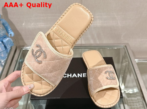 Chanel Mules in Beige Velvet Replica