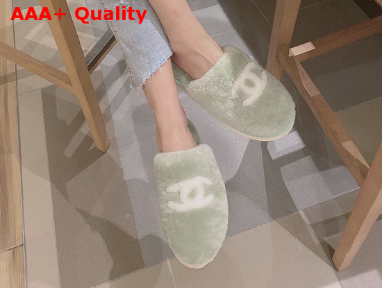 Chanel Mules in Green Shearling Replica