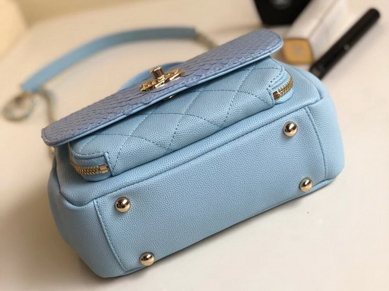 Chanel Python Flap Bag in Baby Blue with Top Handle