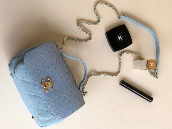 Chanel Python Flap Bag in Baby Blue with Top Handle