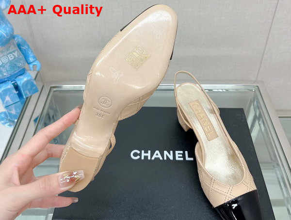 Chanel Slingback Pumps in Beige and Black Embroidered Lambskin Replica