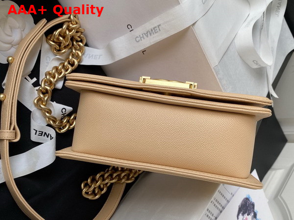 Chanel Small Boy Chanel Flap Bag with Handle Beige Grained Shiny Calfskin Gold Tone Metal A94805 Replica