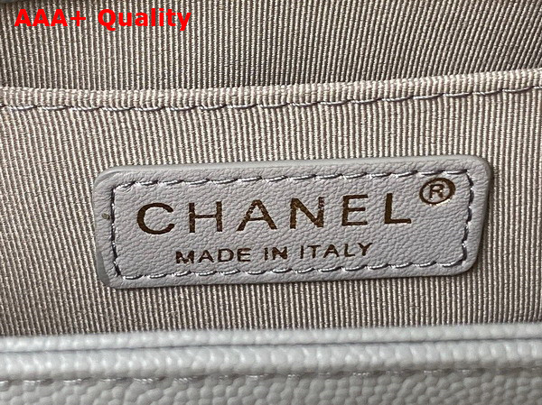 Chanel Small Boy Chanel Flap Bag with Handle Grey Grained Shiny Calfskin Gold Tone Metal A94805 Replica