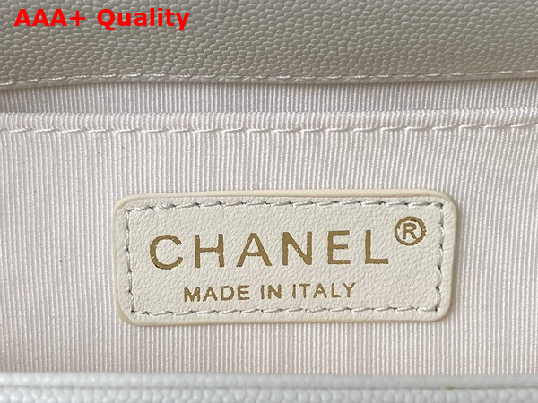 Chanel Small Boy Chanel Flap Bag with Handle White Grained Shiny Calfskin Gold Tone Metal A94805 Replica