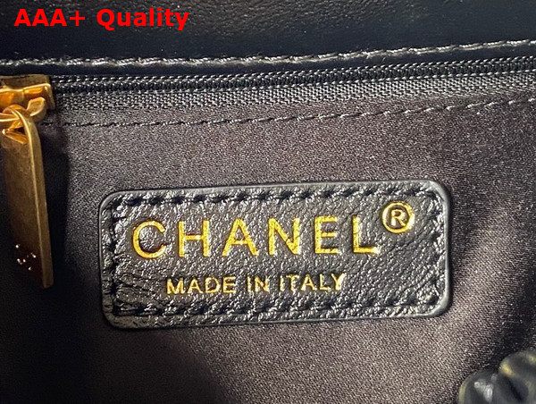 Chanel Small Bucket Bag in Black Lambskin Resin Gold Tone Metal AS3793 Replica