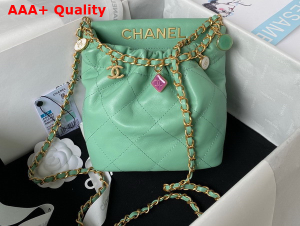 Chanel Small Bucket Bag in Light Green Lambskin Resin Gold Tone Metal AS3793 Replica