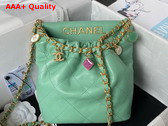 Chanel Small Bucket Bag in Light Green Lambskin Resin Gold Tone Metal AS3793 Replica