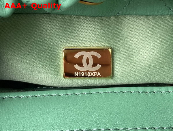 Chanel Small Bucket Bag in Light Green Lambskin Resin Gold Tone Metal AS3793 Replica