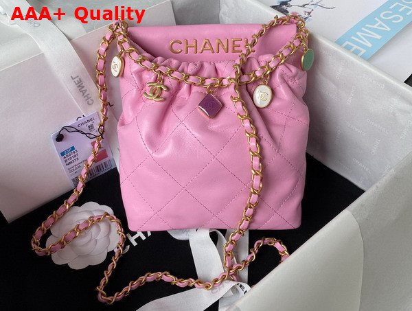 Chanel Small Bucket Bag in Light Pink Lambskin Resin Gold Tone Metal AS3793 Replica