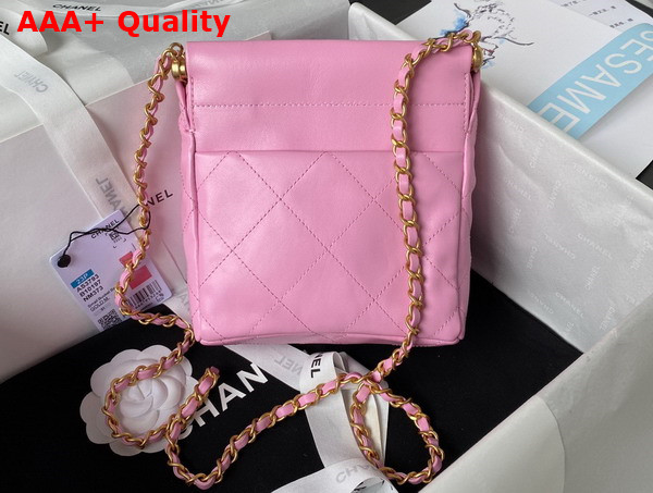 Chanel Small Bucket Bag in Light Pink Lambskin Resin Gold Tone Metal AS3793 Replica