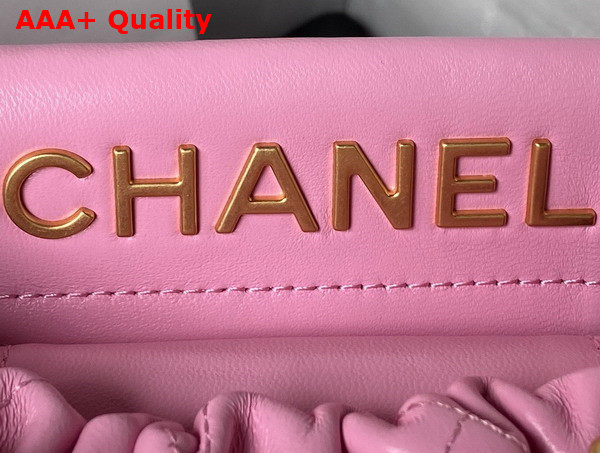 Chanel Small Bucket Bag in Light Pink Lambskin Resin Gold Tone Metal AS3793 Replica