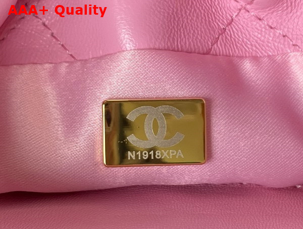 Chanel Small Bucket Bag in Light Pink Lambskin Resin Gold Tone Metal AS3793 Replica