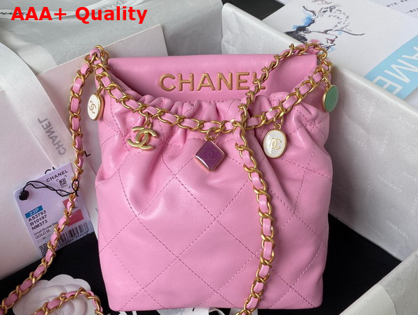 Chanel Small Bucket Bag in Light Pink Lambskin Resin Gold Tone Metal AS3793 Replica