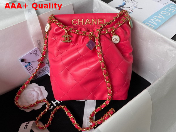 Chanel Small Bucket Bag in Pink Lambskin Resin Gold Tone Metal AS3793 Replica