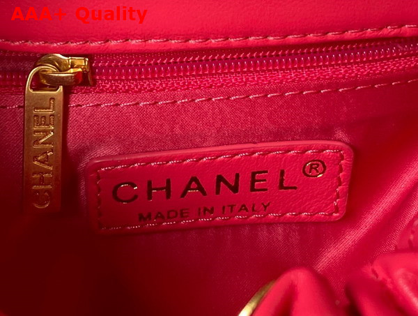 Chanel Small Bucket Bag in Pink Lambskin Resin Gold Tone Metal AS3793 Replica