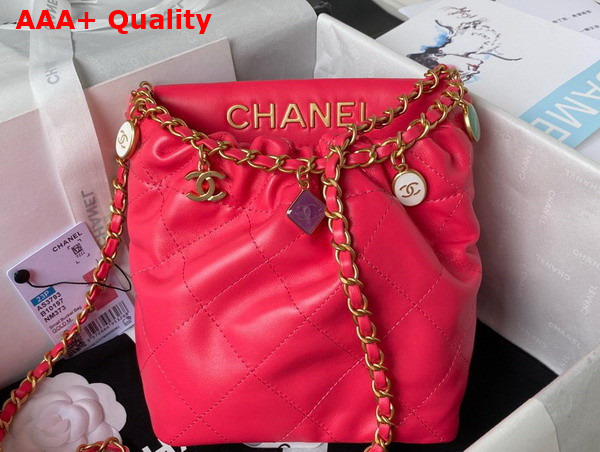 Chanel Small Bucket Bag in Pink Lambskin Resin Gold Tone Metal AS3793 Replica