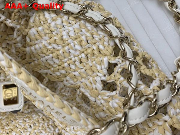 Chanel Small Coco Beach Bag in Beige Raffia AS4714 Replica