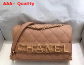 Chanel Small Falp Bag Calfskin and Gold Tone Metal Beige AS1490 Replica