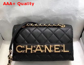 Chanel Small Falp Bag Calfskin and Gold Tone Metal Black AS1490 Replica