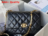 Chanel Small Flap Bag Calfskin Imitation Pearls Gold Tone Metal Black Ref AS3001 Replica