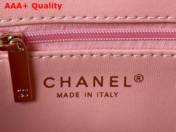 Chanel Small Flap Bag Coral Pink Patent Calfskin Gold Tone Metal AS4388 Replica