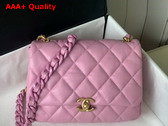 Chanel Small Flap Bag Lambskin Gold Tone Lacquered Metal Pink Ref AS3206 Replica