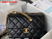 Chanel Small Flap Bag in Black Calfskin AS3994 Replica