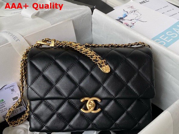 Chanel Small Flap Bag in Black Calfskin AS3994 Replica