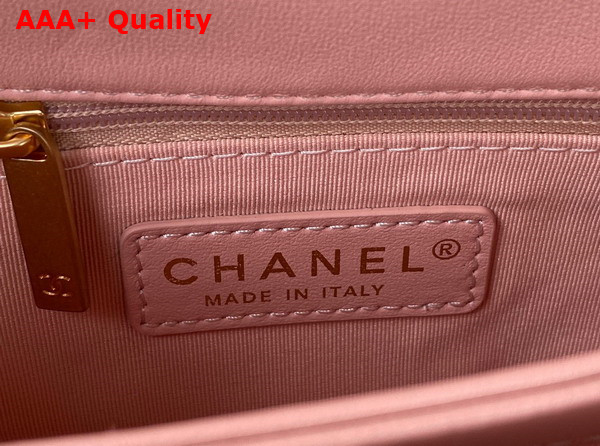 Chanel Small Flap Bag in Light Pink Lambskin Gold Tone Metal AS3498 Replica