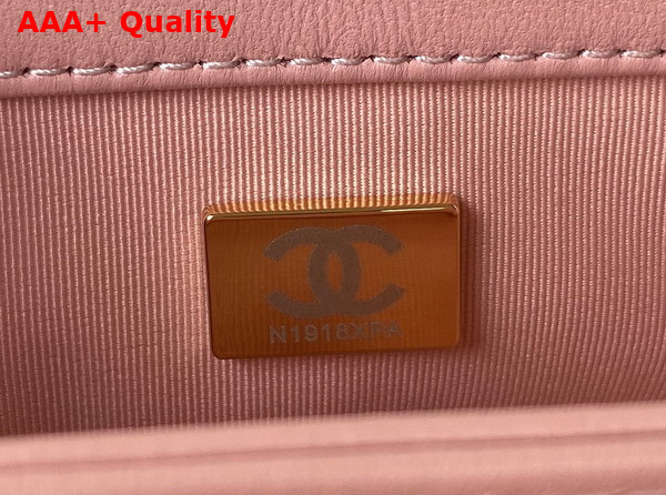 Chanel Small Flap Bag in Light Pink Lambskin Gold Tone Metal AS3498 Replica