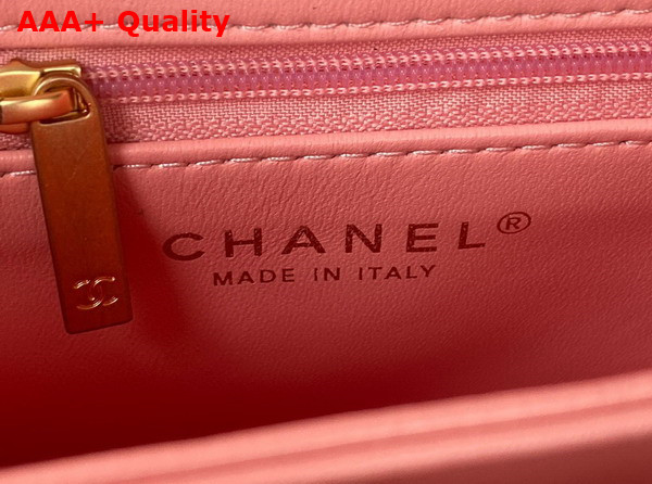 Chanel Small Flap Bag in Light Pink Shearling Gold Tone Metal Replica