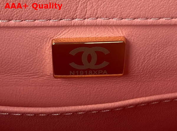 Chanel Small Flap Bag in Light Pink Shearling Gold Tone Metal Replica