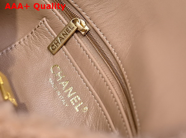 Chanel Small Flap Bag in Light Pink Shearling Lambskin Gold Tone Metal AS5193 Replica