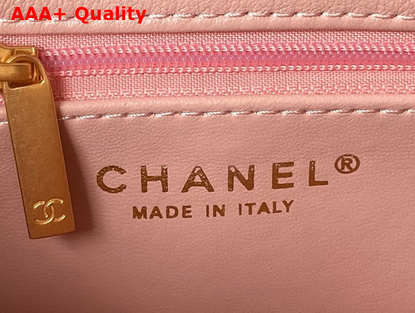 Chanel Small Flap Bag in Pink Calfskin AS3994 Replica