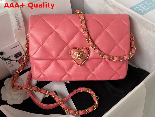 Chanel Small Flap Bag in Pink Lambskin Plexi Gold Tone Metal AS3986 Replica