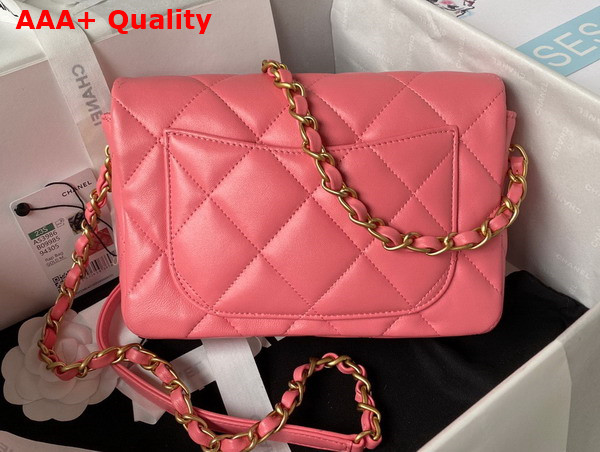 Chanel Small Flap Bag in Pink Lambskin Plexi Gold Tone Metal AS3986 Replica