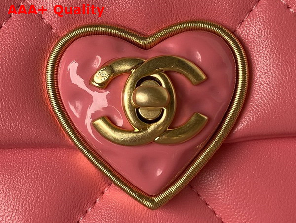 Chanel Small Flap Bag in Pink Lambskin Plexi Gold Tone Metal AS3986 Replica