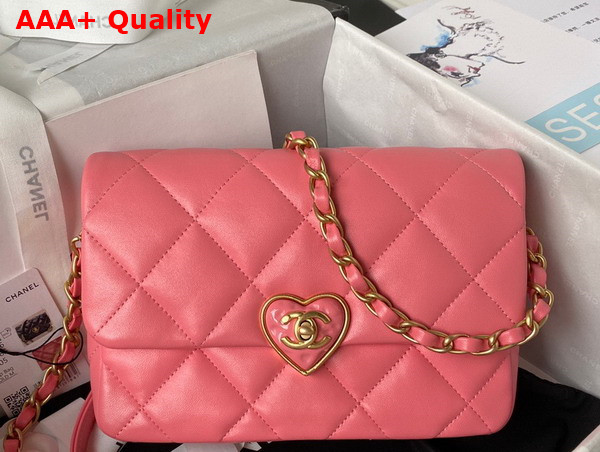 Chanel Small Flap Bag in Pink Lambskin Plexi Gold Tone Metal AS3986 Replica