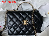 Chanel Small Flap Bag with Top Handle Black Shiny Calfskin and Gold Tone Metal AS3908 Replica