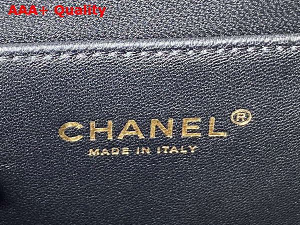 Chanel Small Flap Bag with Top Handle Black Shiny Calfskin and Gold Tone Metal AS3908 Replica